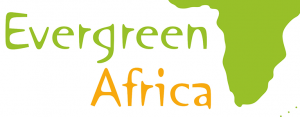 Evergreen Africa