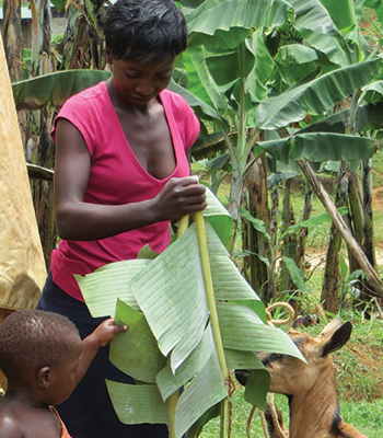 goat-rearing-women-sustainability-african-charity