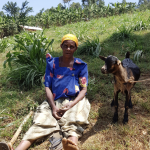 Camilla-goat-rearing-evergreenafrica