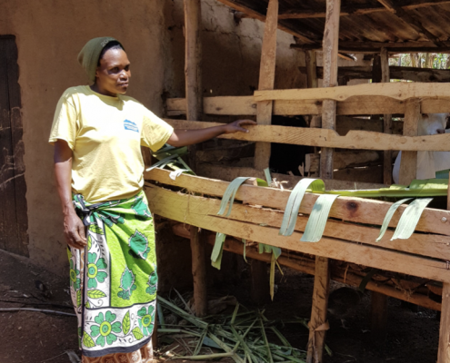 Freda-goat-rearing-evergreenafrica